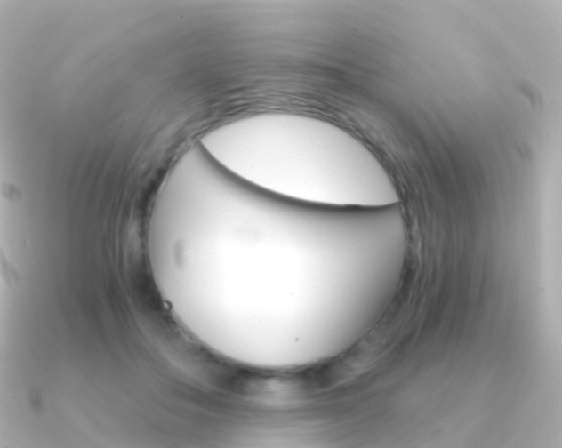 X0000091340506200708101022