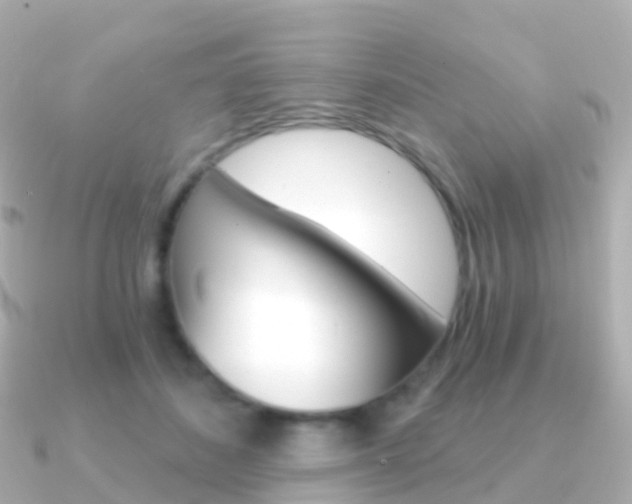 X0000091340508200708101022