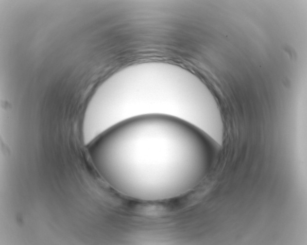 X0000091340512200708101021
