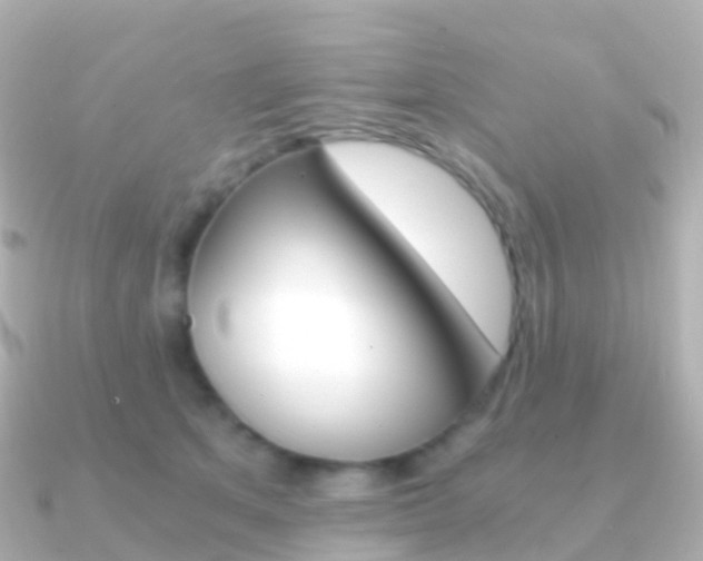 X0000091340513200708101021