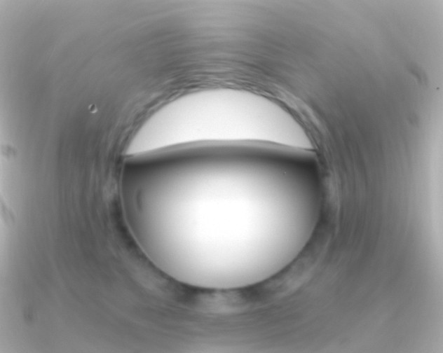 X0000091340517200708101021