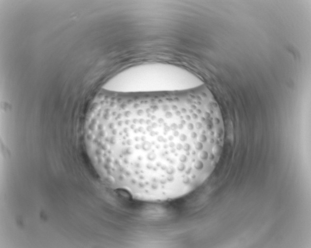 X0000091340519200708101021