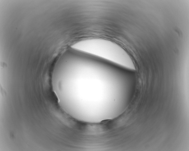 X0000091340520200708101021