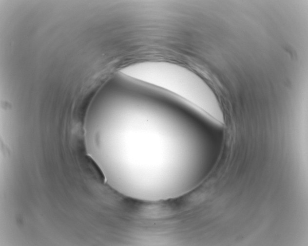 X0000091340521200708101021