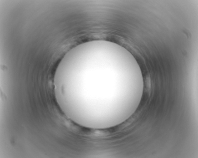 X0000091340522200708101021
