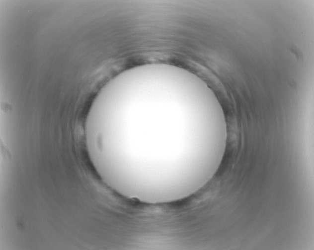 X0000091340523200708101021