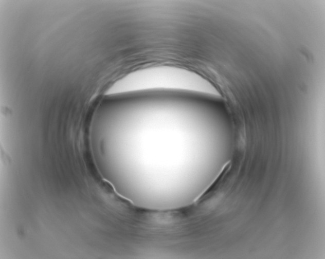 X0000091340524200708101021