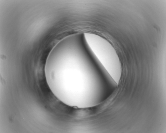 X0000091340525200708101021