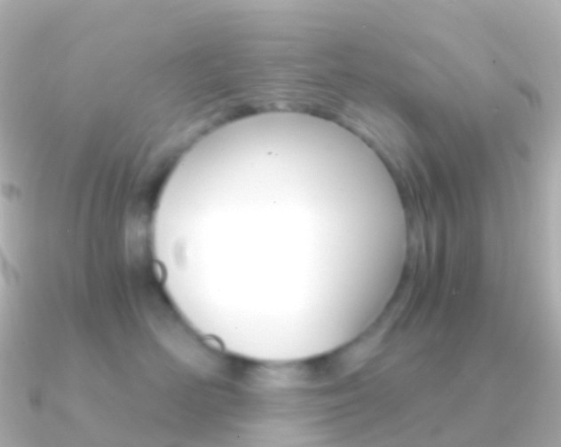 X0000091340526200708101021