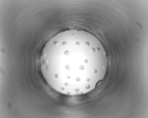 X0000091340527200708101021
