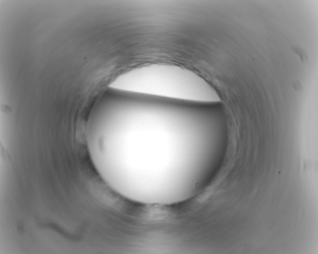 X0000091340528200708101021