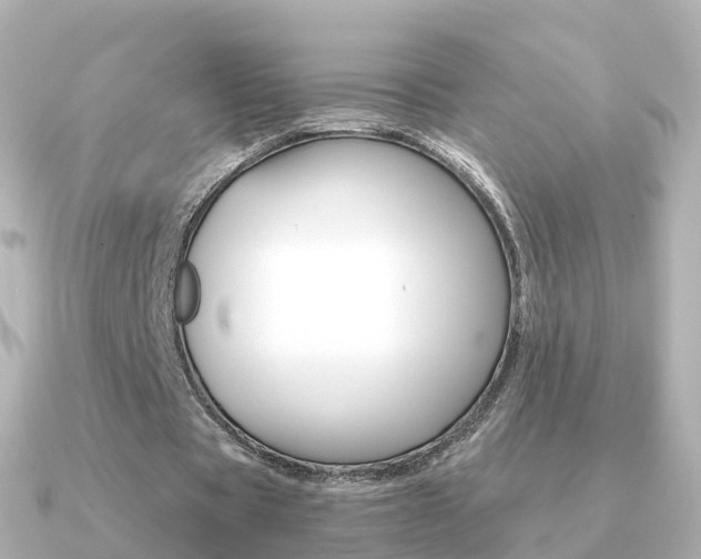 X0000091340529200708101021