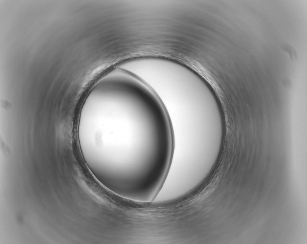 X0000091340530200708101021
