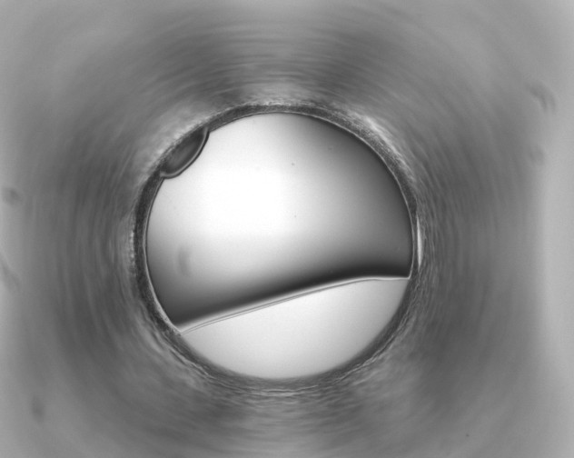X0000091340531200708101021
