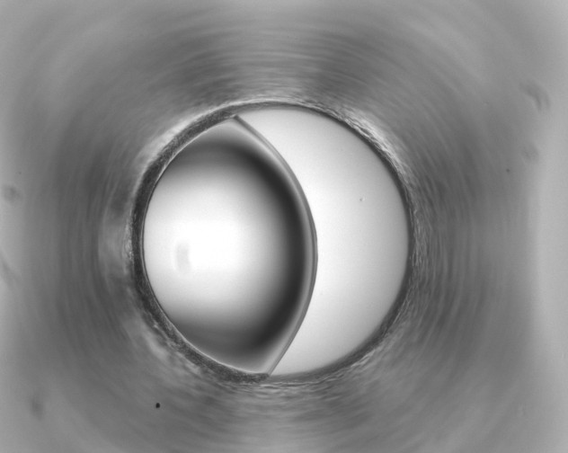 X0000091340532200708101021