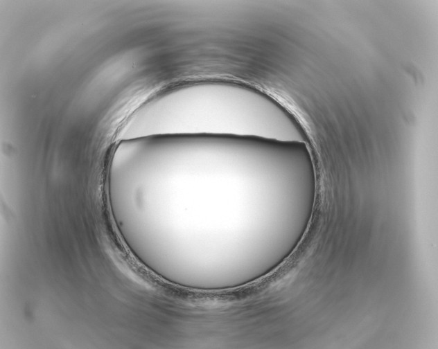 X0000091340533200708101021