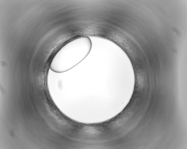 X0000091340534200708101021