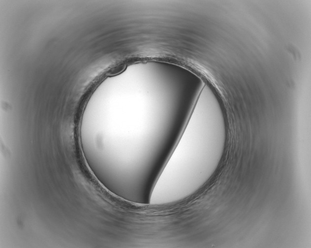 X0000091340535200708101021