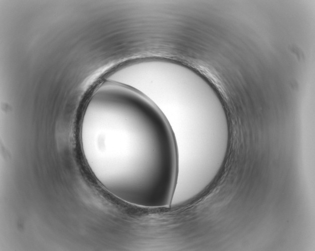 X0000091340536200708101021