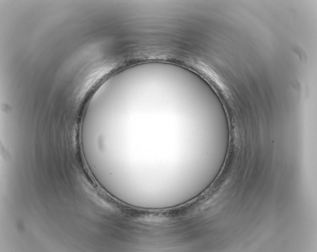 X0000091340537200708101021