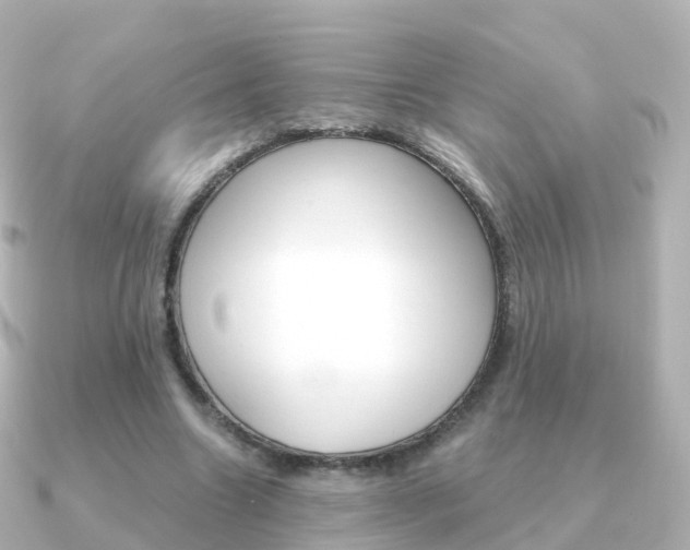 X0000091340538200708101021