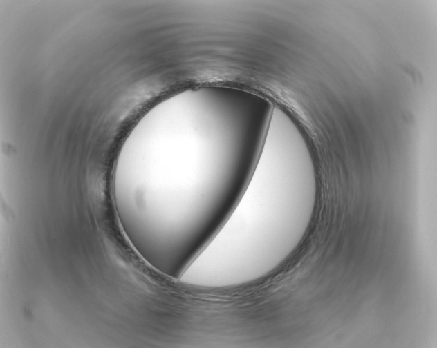 X0000091340539200708101021