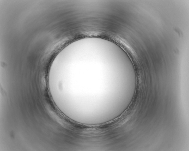 X0000091340541200708101021