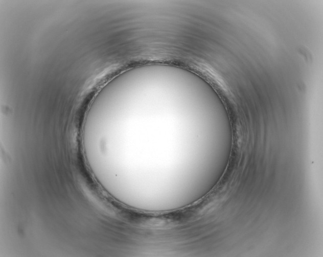X0000091340542200708101021