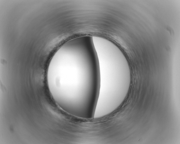 X0000091340544200708101021