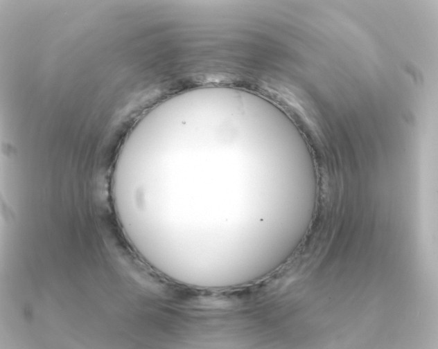 X0000091340545200708101021
