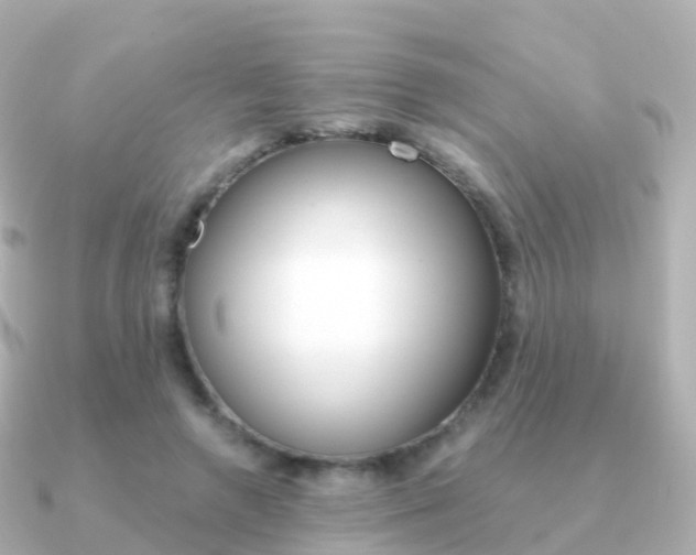 X0000091340546200708101021