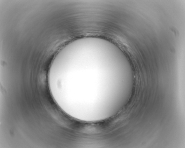 X0000091340550200708101021