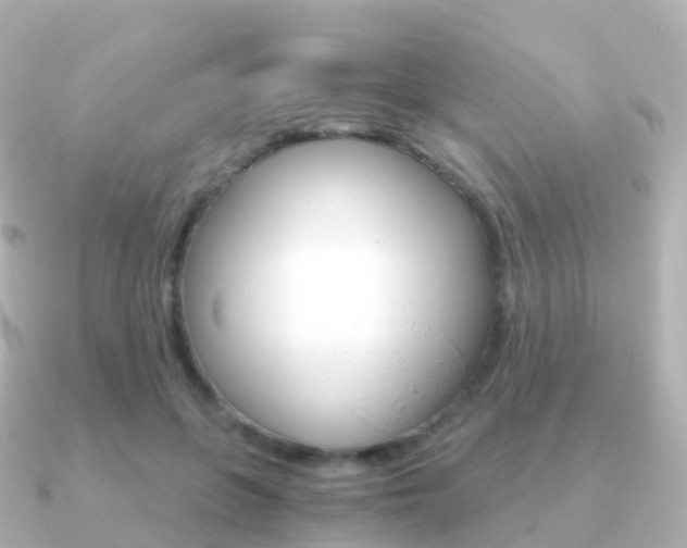 X0000091340551200708101021