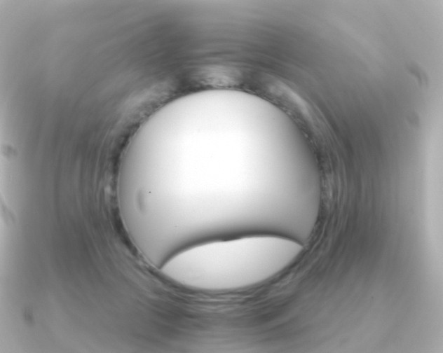 X0000091340553200708101021
