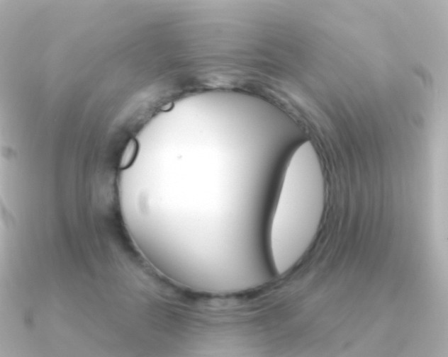 X0000091340554200708101021