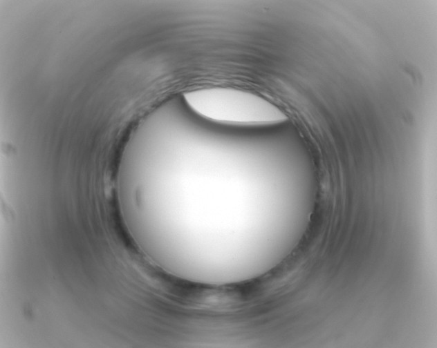 X0000091340555200708101021