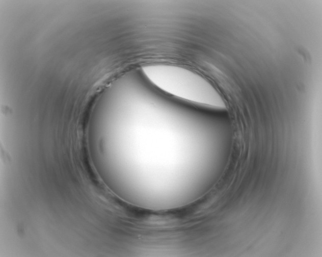 X0000091340556200708101021
