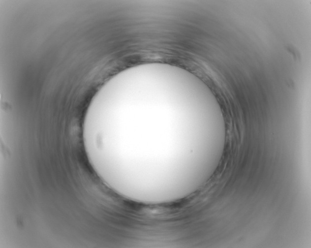 X0000091340557200708101021