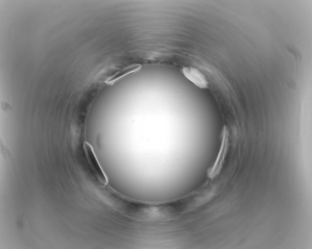 X0000091340558200708101021