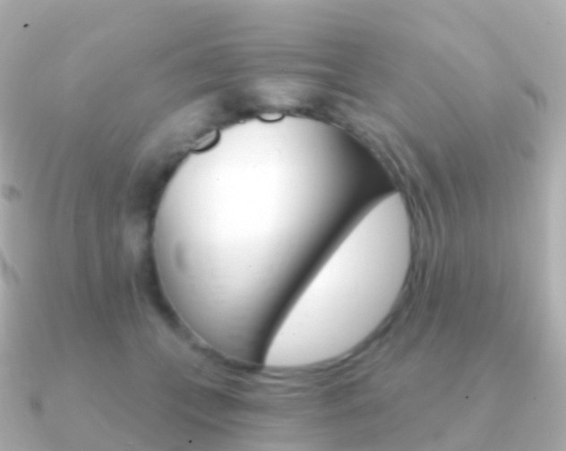X0000091340559200708101021
