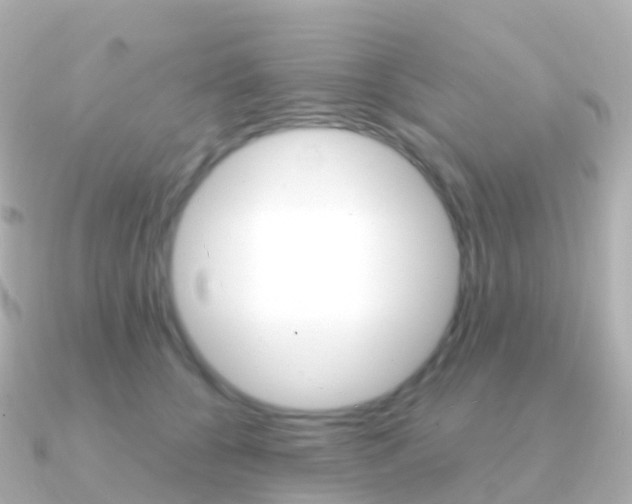X0000091340560200708101021
