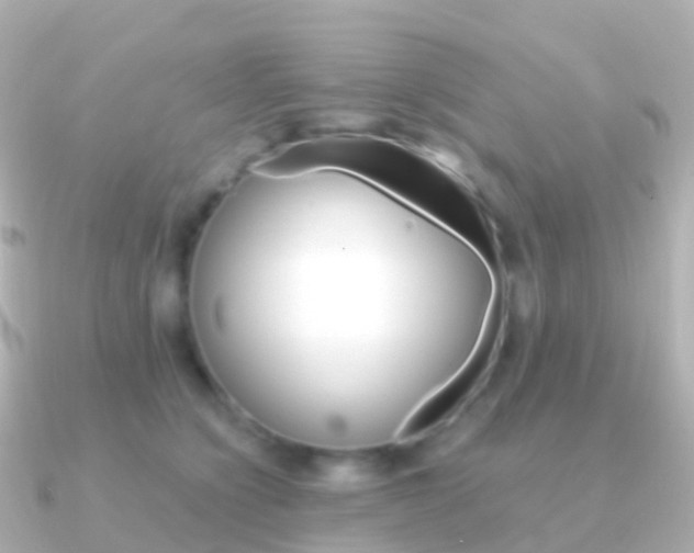 X0000091340564200708101021