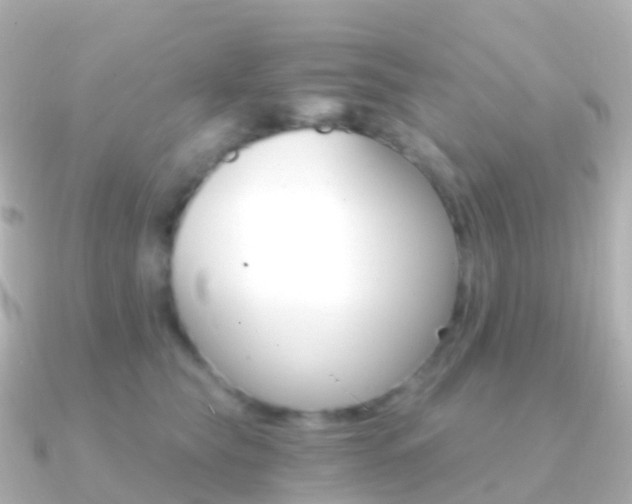 X0000091340565200708101021
