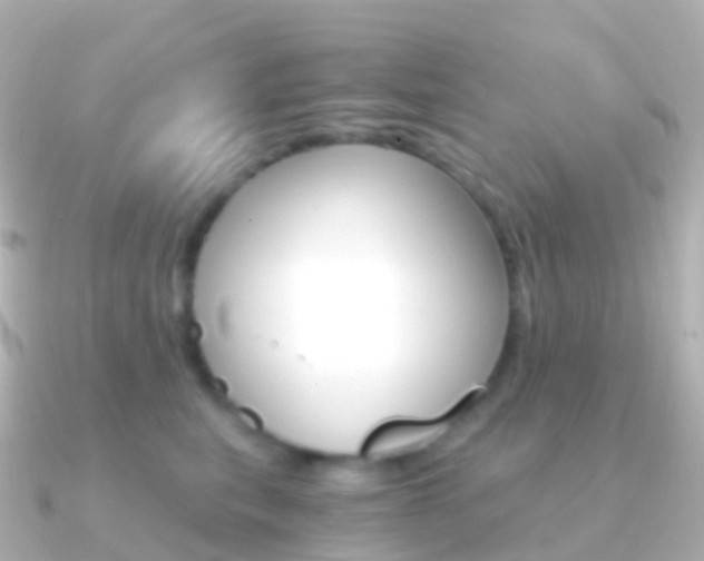 X0000091340567200708101021