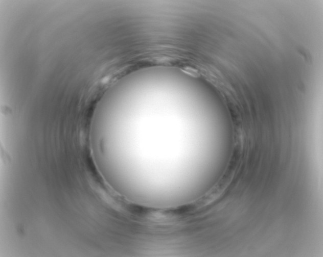 X0000091340568200708101021