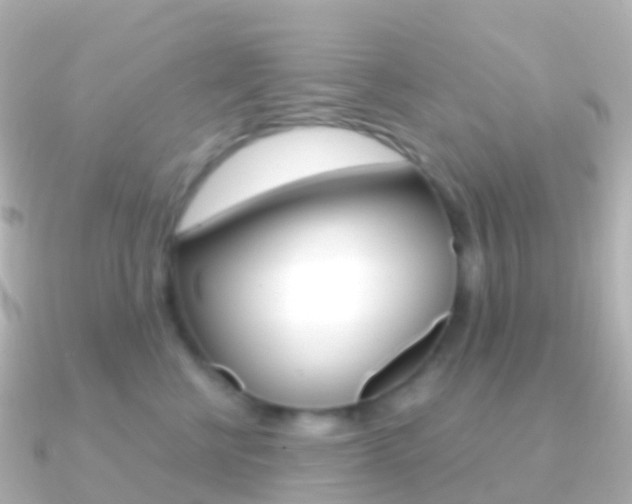 X0000091340570200708101021