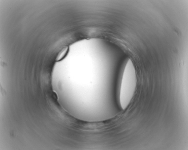 X0000091340571200708101021