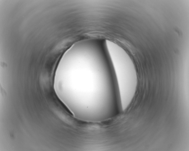 X0000091340572200708101021