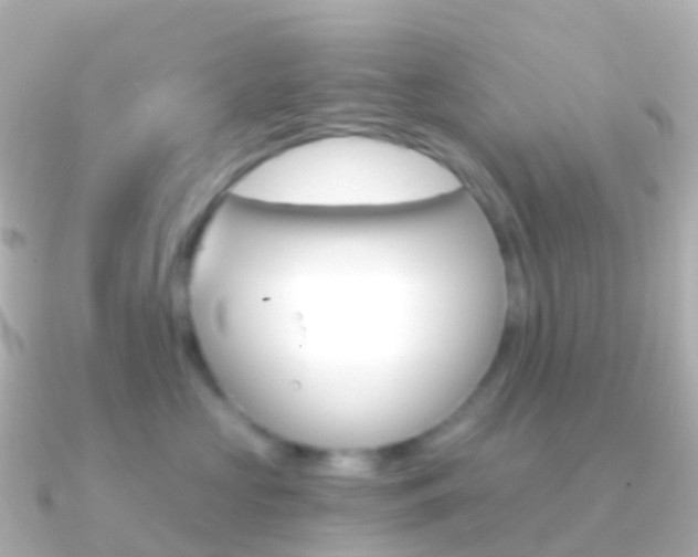 X0000091340573200708101021