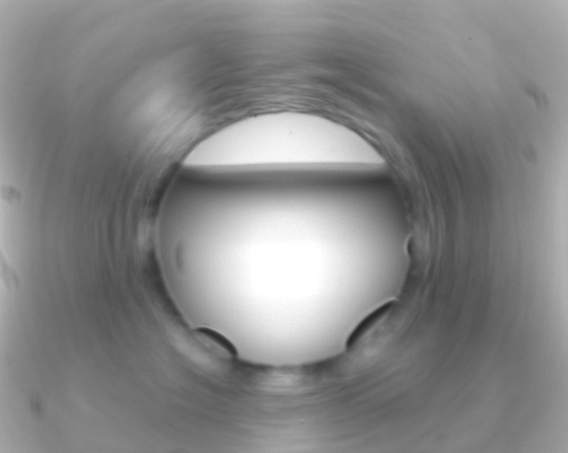 X0000091340574200708101021